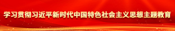 每天操逼比学习贯彻习近平新时代中国特色社会主义思想主题教育